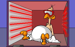 Happy Thanksgiving