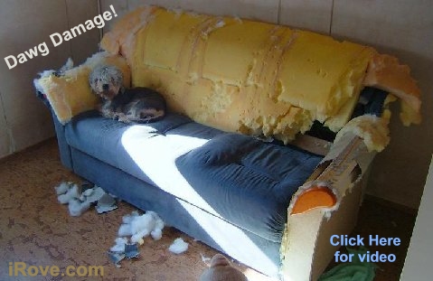 Click Here to see what's hott!