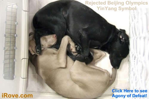 Click Here to see what's hott!